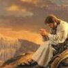 images (1)