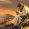 images (2)